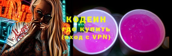 твердый Снежногорск