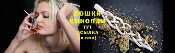 твердый Снежногорск