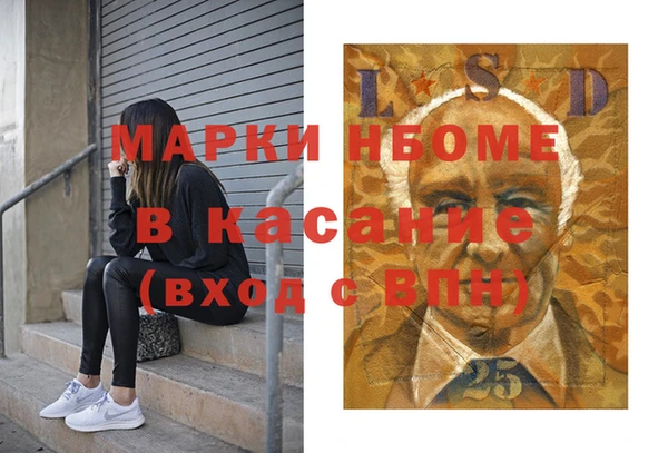 твердый Снежногорск