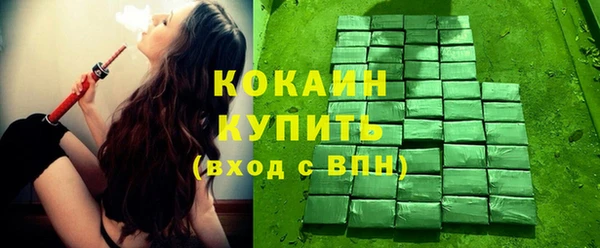 твердый Снежногорск