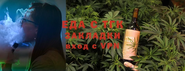 гидра Елабуга