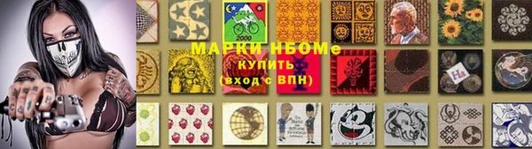 твердый Снежногорск