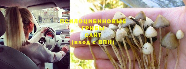 твердый Снежногорск